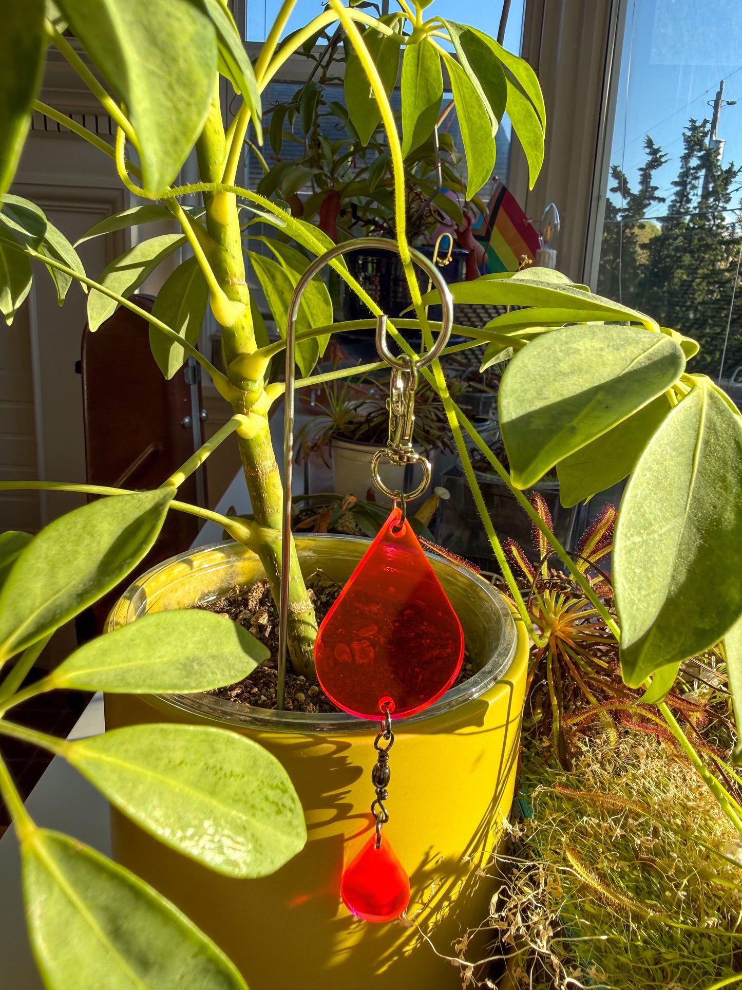 Plant stake