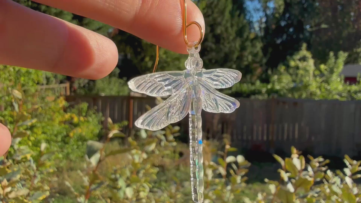 A hand holds a dangling dragonfly earring in the sunlight, in front of plants. The sunlight shows off holographic details on the dragonfly.